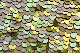 Paillettes on Silk Chiffon3