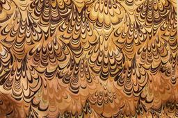 Printed Silk Charmeuse1