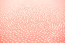 Cotton Broadcloth Print1