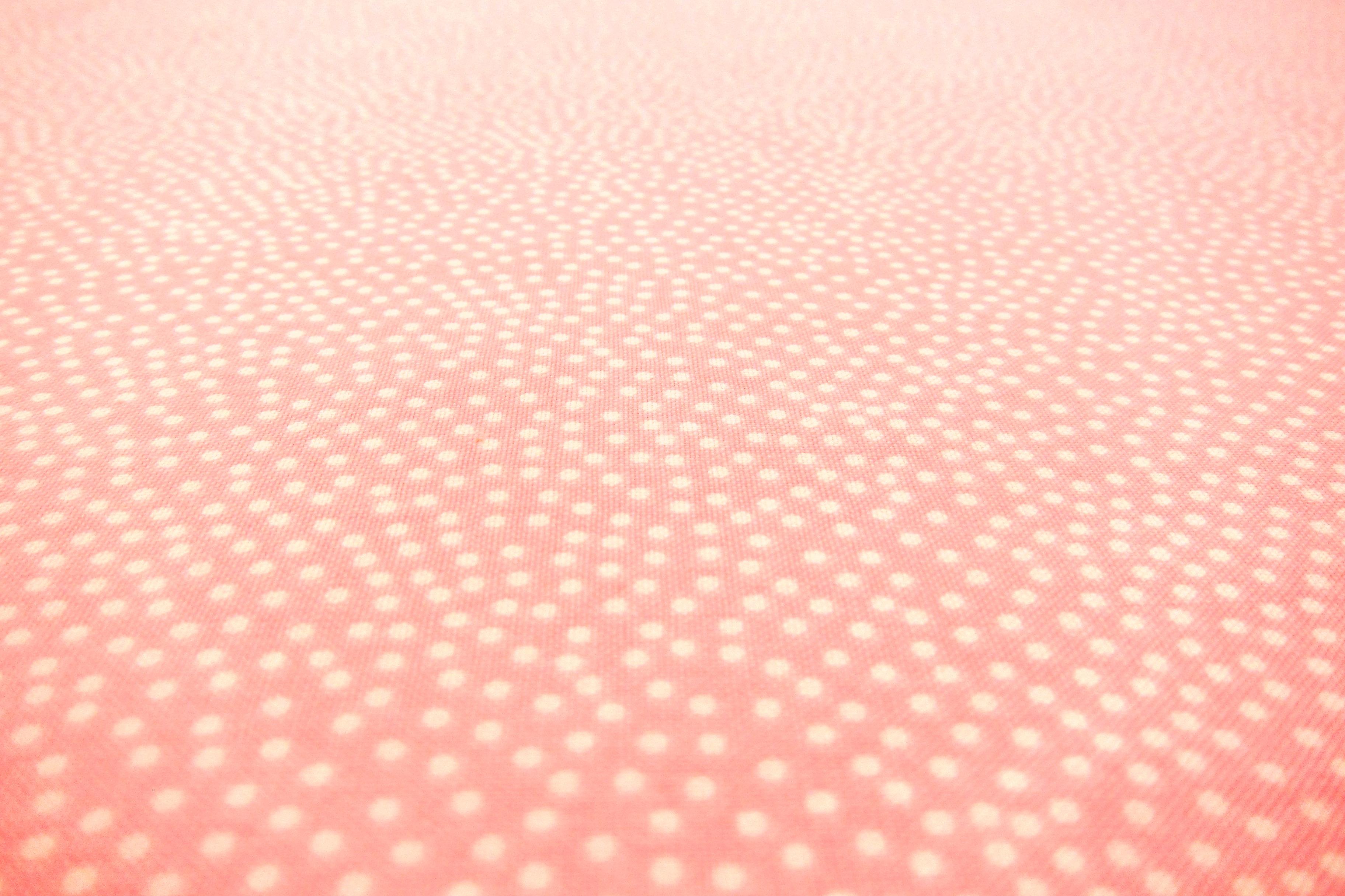 Cotton Broadcloth Print1