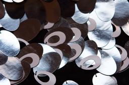 Novelty Paillettes on Silk Chiffon2