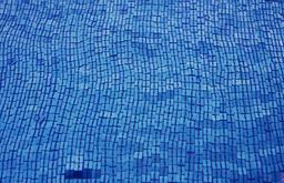 Sequins on Silk Chiffon0