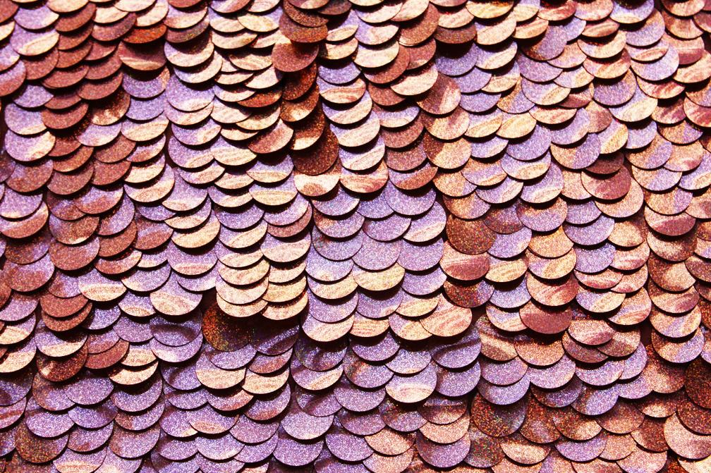 Pailettes on Silk Chiffon0