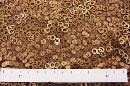 Sequins on Silk Chiffon1