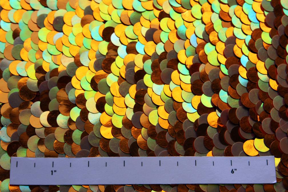 Pailettes on Silk Chiffon2