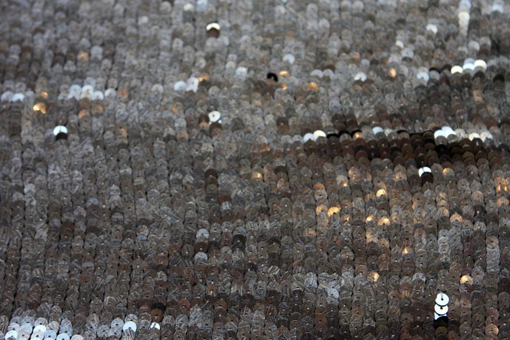 Sequins on Silk Chiffon0