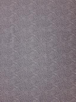 Cotton Broadcloth Print0