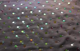 Paillettes on Silk Chiffon0
