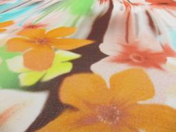 Printed Silk Chiffon2