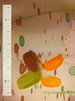 Tie Dye Burn Out Silk Chiffon1