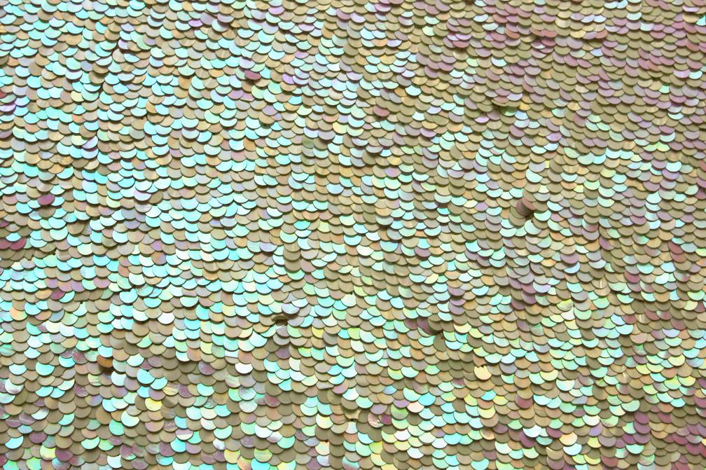 Paillettes on Silk Chiffon1