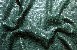 Sequins on Silk Chiffon3