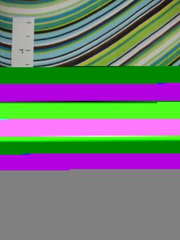 Printed Silk Chiffon0