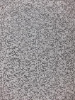 Cotton Broadcloth Print0