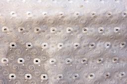 Cotton Eyelet in White1