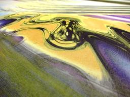 Printed Silk Chiffon2