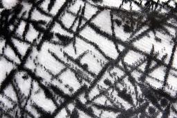 Silk Lurex Panne Velvet0