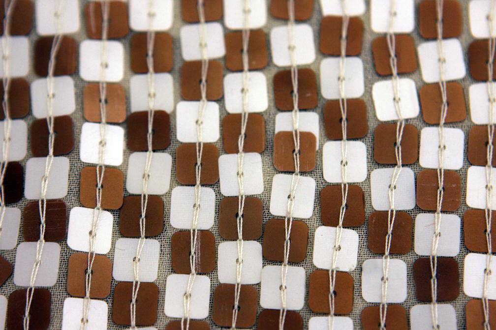 Sequins on SIlk Chiffon2