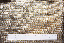 Sequins on Silk Chiffon1