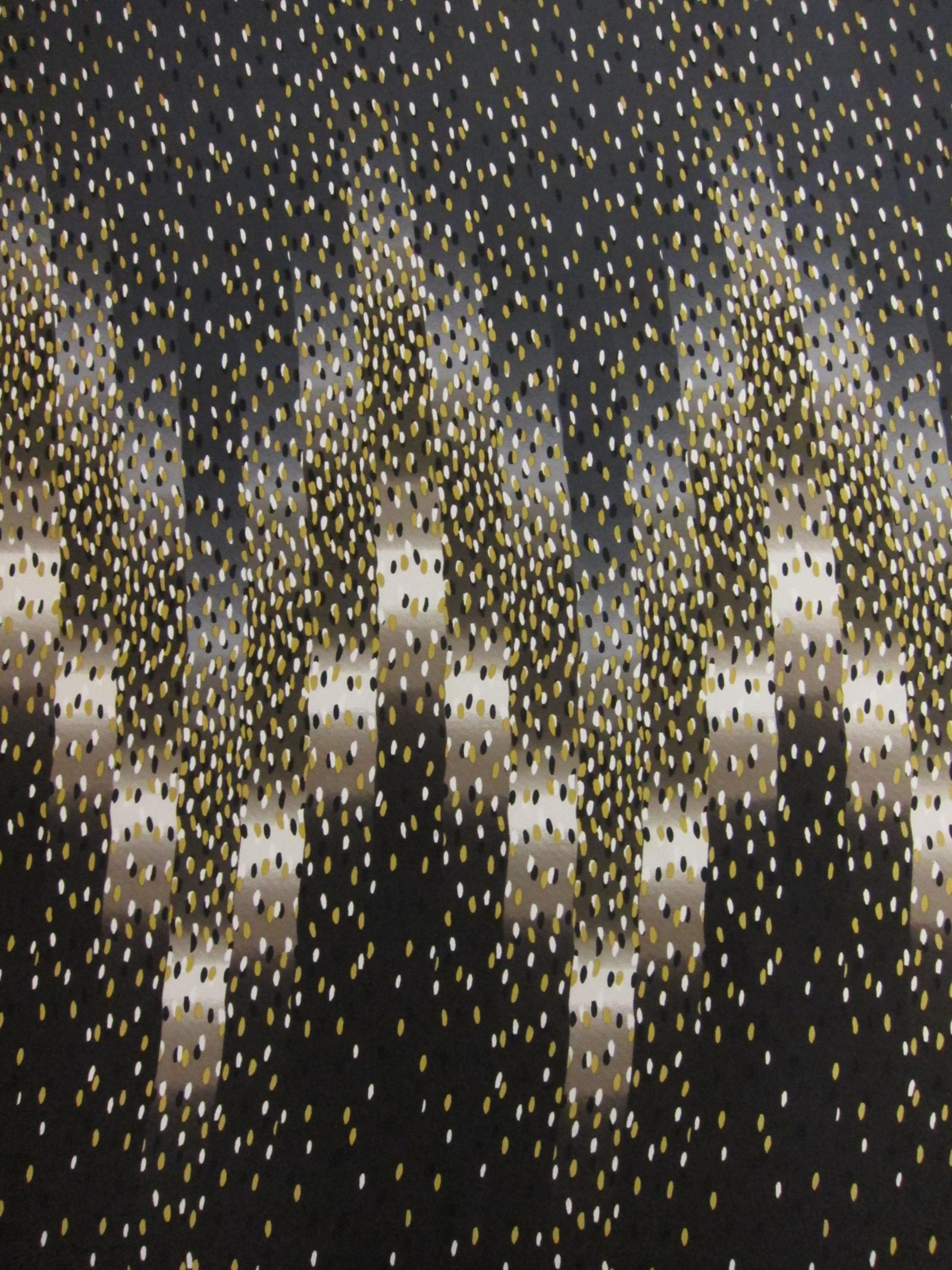 Printed Silk Charmeuse0