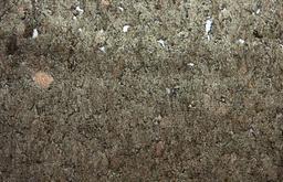 Brushed Platinum Cork0