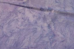 Cotton Batik in Hyacinth2