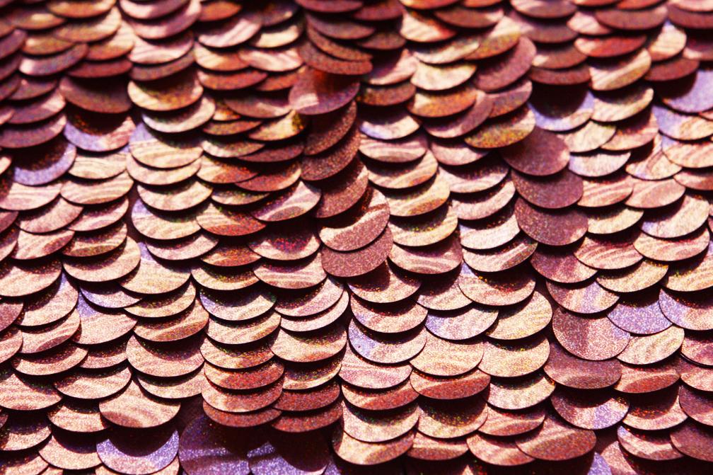 Pailettes on Silk Chiffon1