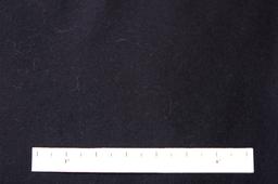 Virgin Wool Coating1