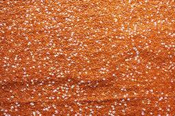 Sequins on Silk Chiffon0