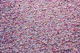 Novelty Sequins on Silk Chiffon0