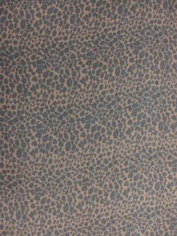 Printed Silk Chiffon1