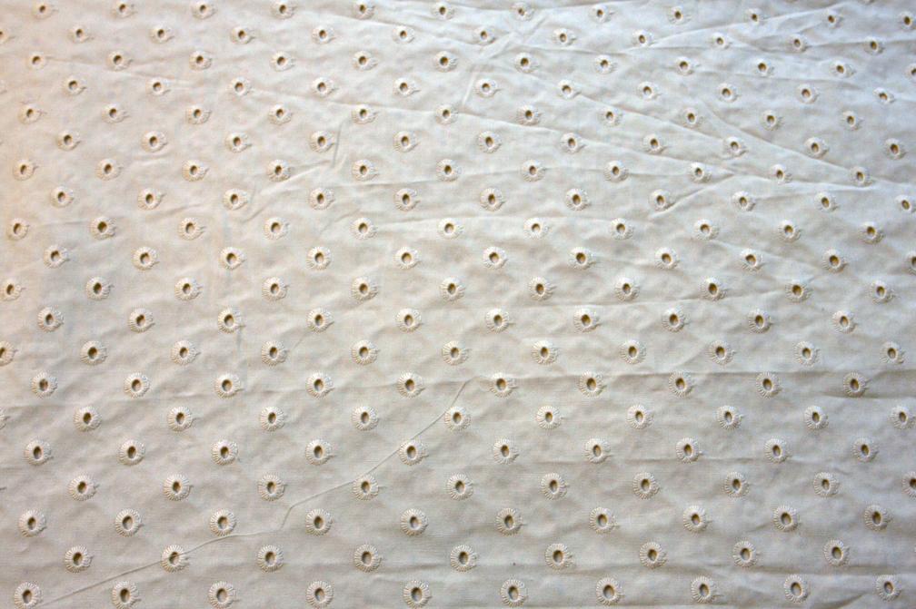 Cotton Eyelet in Cream1