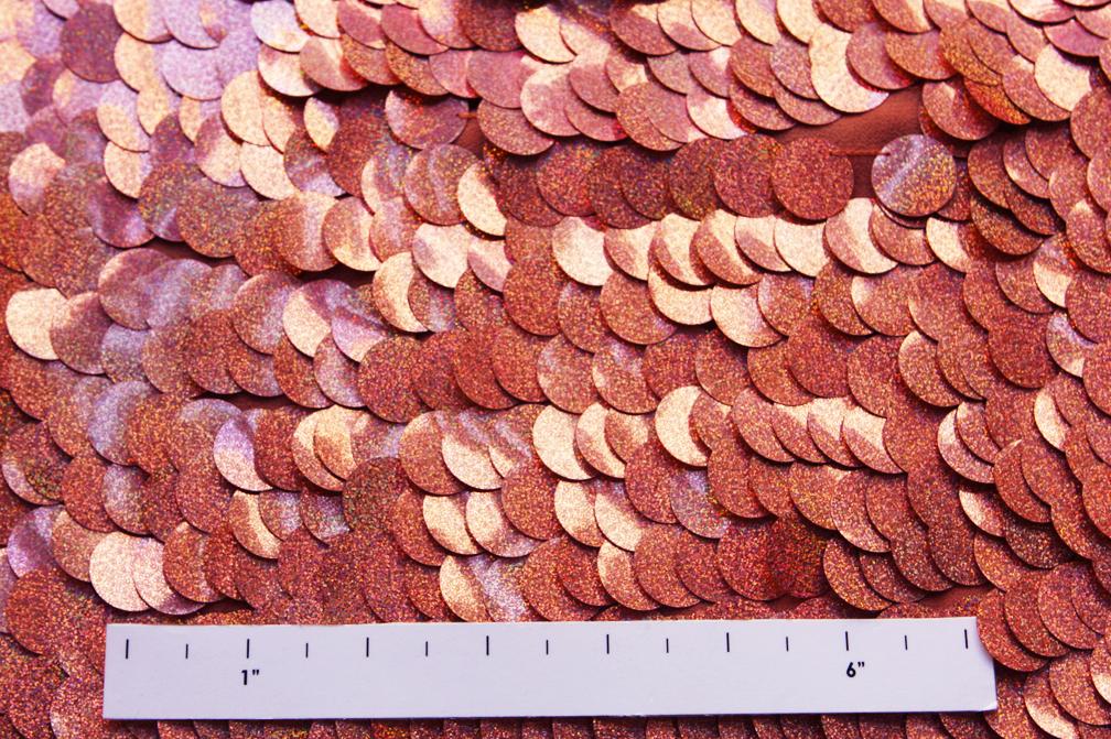 Pailettes on Silk Chiffon2