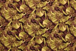 Cotton Broadcloth Print0