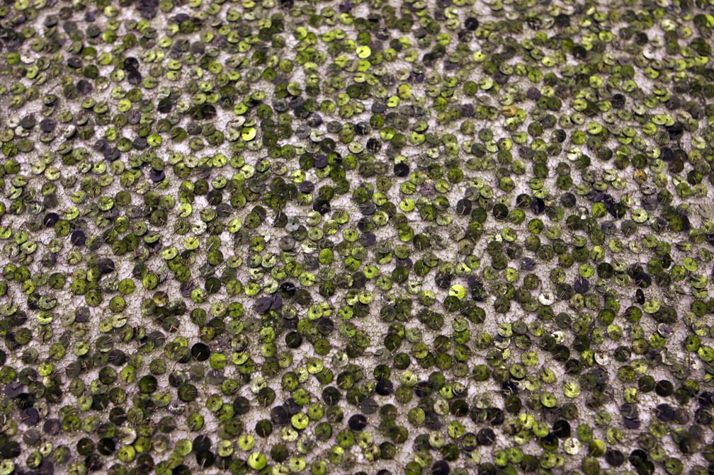 Sequins on Metallic Tulle0