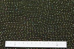 Sequins on Silk Chiffon1