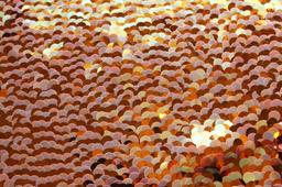 Pailettes on Silk Chiffon1