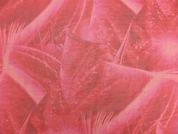 Printed Iridescent Silk Chiffon1