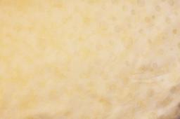 Cotton Jacquard Print1