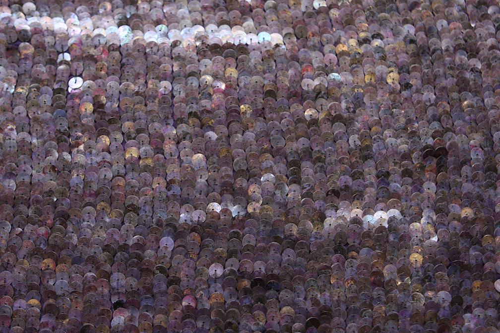 Sequins on Silk Chiffon0