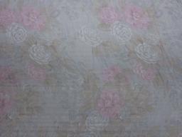 Iridescent Silk Chiffon Print1