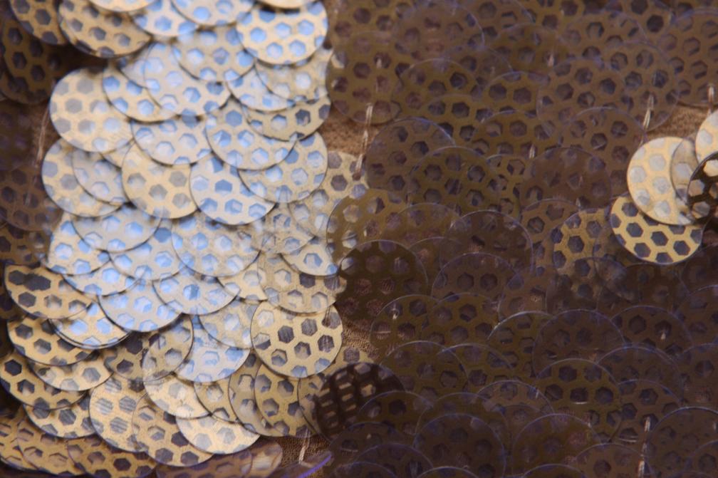 Novelty Paillettes on Silk Chiffon3