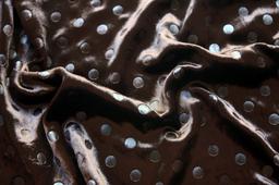 Laminated Panné Velvet2