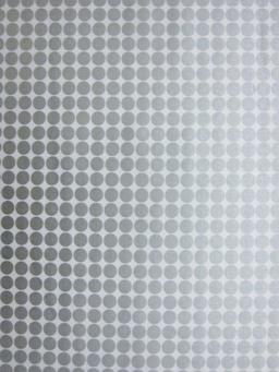 Cotton Broadcloth Print0