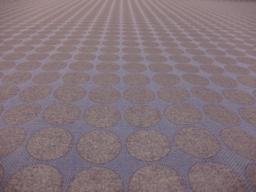 Cotton Broadcloth Print2