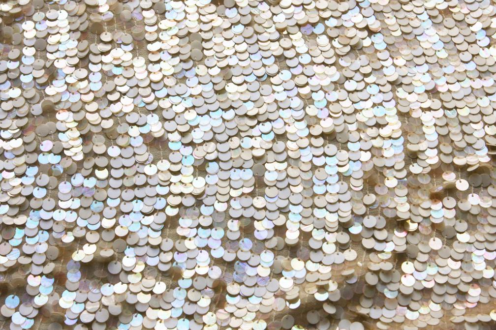 Novelty Paillettes on Silk Chiffon0