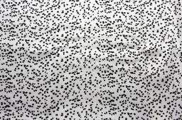 Cotton Sateen Spandex Print0