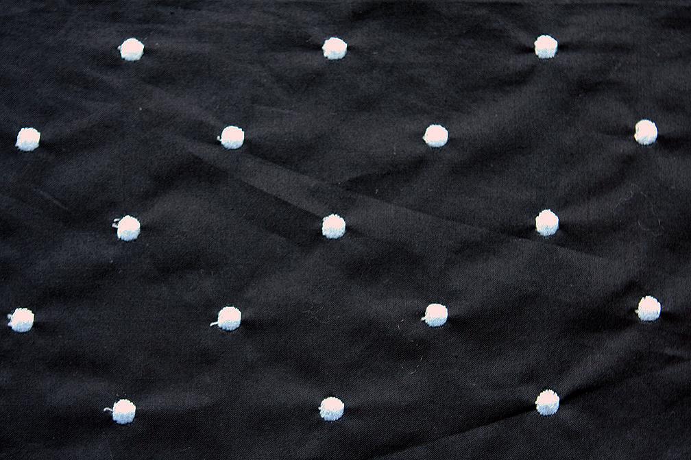 Cotton Embroidered Dots Baby Blue on Black0