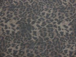 Printed Silk Chiffon1