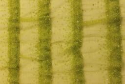 Ombré Beaded and Sequined Novelty Illusion0